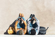 © santypan - Two black race friends having fun.