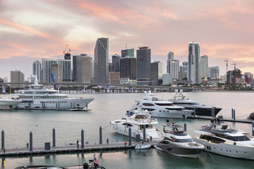 Fototapete - Miami skyline at dusk