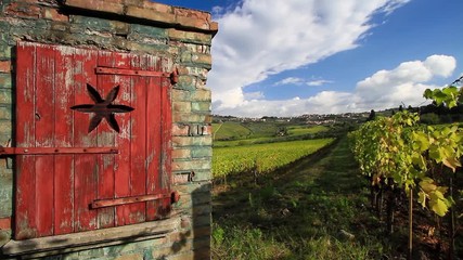 Wall Mural - Chianti vineyard landscape in autumn, Tuscany, Italy