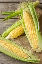 Ripe Yellow Corn On Sackcloth. Wooden Background