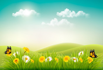 Poster - Spring nature landscape background with flowers and butterflies. Vector.