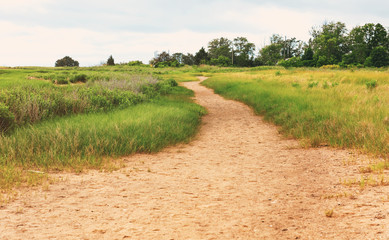 Sandy trail through a grassy area