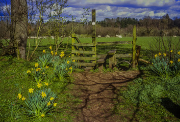 Sticker - heart of england footpath baddesley clinton warwickshire england 
Shot on 6 x 9 cm Medium Format Film. 