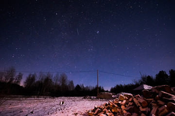 Wall Mural - Winter night scene. Pine trees and stars.