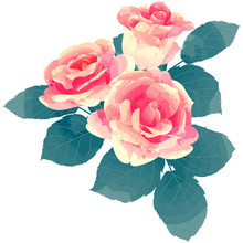 Rose - Birth Flower Vector Illustration In Watercolor Paint Textures