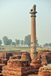 Life of India : Pillars of Ashoka in Vaishali