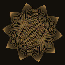Outlined Graphic Sunflower In Black And Gold