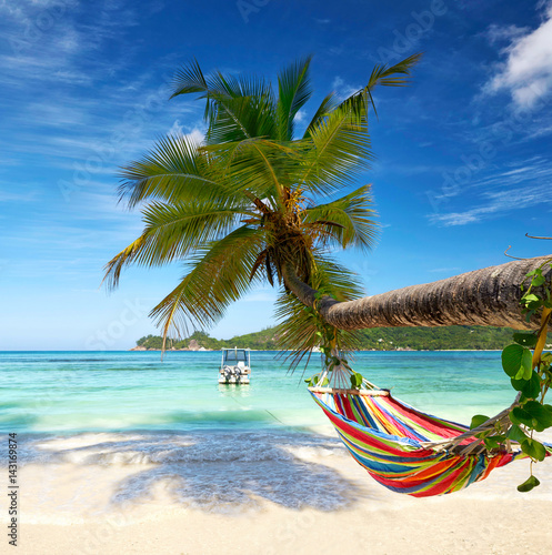 Entspannen Am Strand Hangematte Buy This Stock Photo And Explore Similar Images At Adobe Stock Adobe Stock