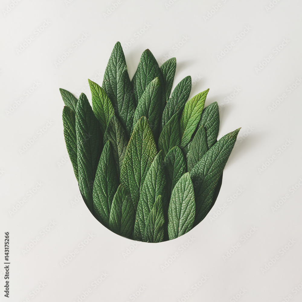 Creative minimal arrangement of green leaves. Nature concept. Flat lay. - obrazy, fototapety, plakaty 