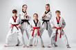 © master1305 - The studio shot of group of kids training karate martial arts