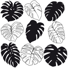 Wall Mural - Set of tropical leaves silhouettes isolated on white background. Vector EPS10 