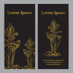 Sticker - Garden hyacinth (Hyacinthus orientalis)