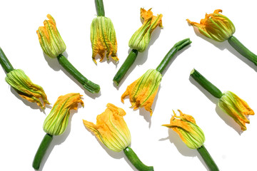 Wall Mural - Zucchini flowers on a white background in sunny light