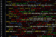 © Africa Studio - Script code on monitor, closeup. Software development concept