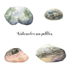 Watercolor Sea Pebbles. Hand Painted Underwater Illustration With Stones Isolated On White Background. For Design, Fabric Or Print.