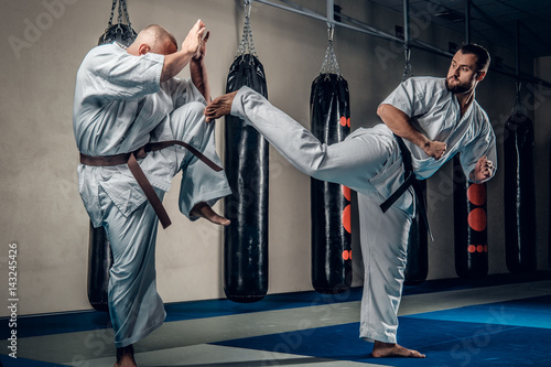 Fotografie, Obraz Two judo wrestlers showing their technical skills.