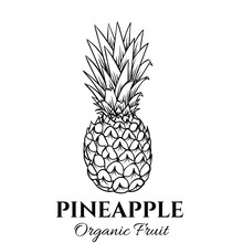 Hand Drawn Pineapple Icon.