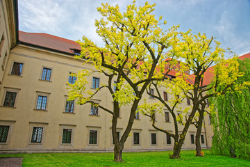 Canvas Print - Inner courtyard in Wawel Castle Krakow