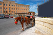 Horse fiacre in street of Valletta old town