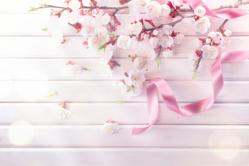 Fotomurales - Spring blossom on white wooden plank background. Pink blooming apricot flowers