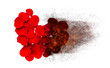 Heart of red rose petals burns to black ash.