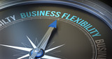 Fototapeta  - Business Flexibility / Compass