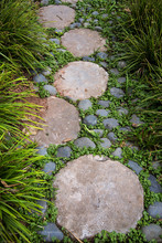 Walk Path With Stepping Stones And Vegetation, Garden Landscape Design In Japanese Style