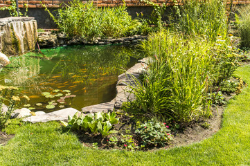 Wall Mural - artificial pond with flowers and fish