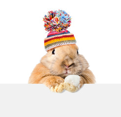 Poster - Rabbit  wearing a warm hat looking over a signboard. Isolated on white background