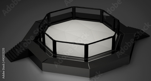 Cuadros en Lienzo Oktagon UFC Bellator Ring MMA pugliato arti marziali miste