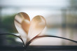 Open book with pages forming heart shape with feeling love and romance