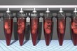 Fetuses in Vials artificial grown, in vitro fertilization of babies, embryo growth future technologies, human cloning vials, fetuses test tubes, babies grown laboratories  3D illustration 