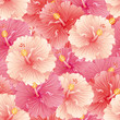 Colorful set of hibiscus flowers, seamless pattern, vector drawing for wallpaper, fabric and design.