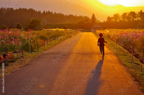 夕日に向かって走る子供 Stock Photo Adobe Stock 夕日に向かって走る子供 Stock Photo Adobe Stock