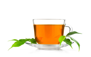 Canvas Print - Cup of tea  and green leaves isolated on white