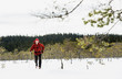 © FOLIO - Sweden, Vastmanland, Bergslagen, Kindla Naturreservat, Mature man skiing through plain with forest on horizon