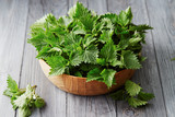 Fresh stinging nettle leaves