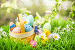 © drubig-photo - easter green garden