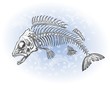 fish bone drawing