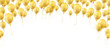 Golden Balloons White Cover Header