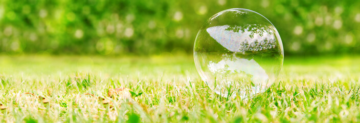 Soap bubble on green natural background.