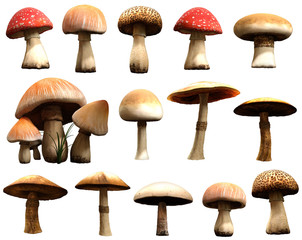 Wall Mural - Mushrooms 3D illustration