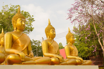 Wall Mural - PHICHIT,THAILAND -APRIL 1,2017 : Row of Golden Buddha statue at Wat Wang Ta Ku, Phichit Province, Thailand.