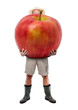 Funny gardener carrying a large red apple. Farmer hold big apple isolated on white background. Successful fruits grower. Large harvest of genetically modified foods.