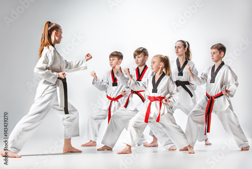 Dekoracja na wymiar  ujecie-studyjne-grupy-dzieci-trenujacych-sztuki-walki-karate