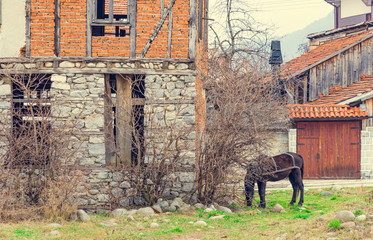 Old house village horse