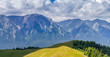 Carpathians mountain panorama, Bucegi mountain landscape in summer. mountain scenery in summer with beautiful nature, peaks, rocks, green meadows, trees, green vegetation