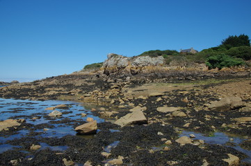 Canvas Print - ile de bréhat