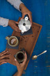 Kaffeepause - Junge Frauen beim Kaffeetrinken - Aufnahme von oben - Tassen, Kaffeemaschine und Löffel auf blauem Hintergrund