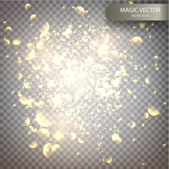 Canvas Print - magic vector luminous background.